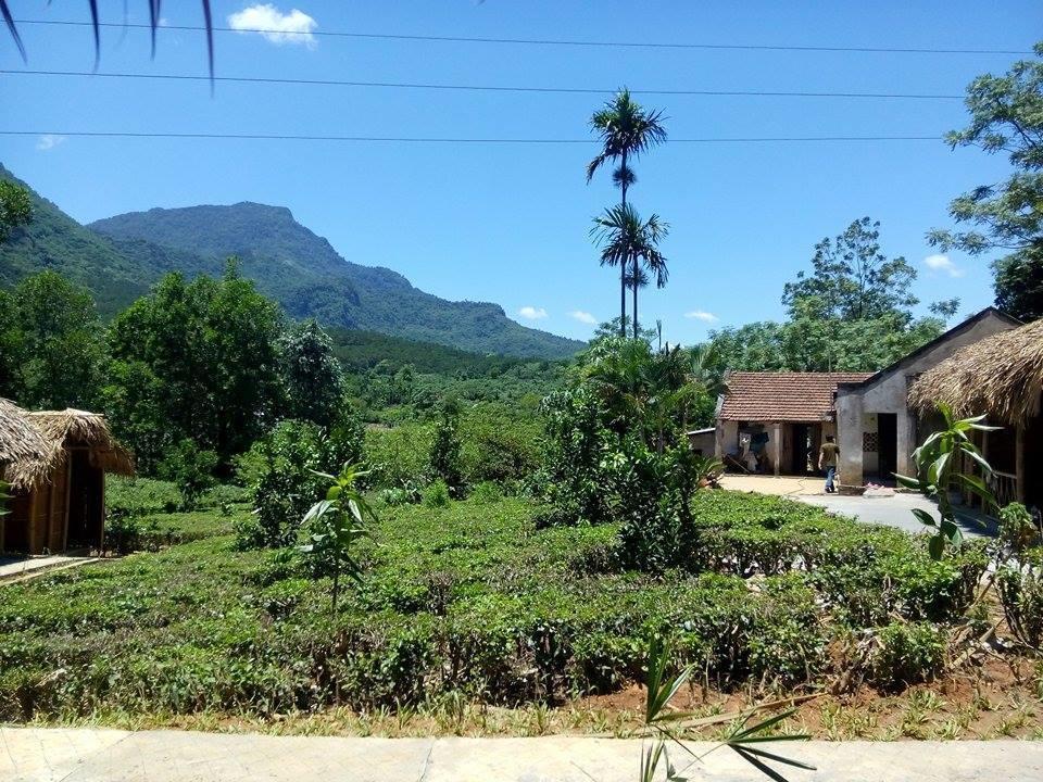 Family Homestay Ba Vi Exterior foto